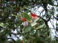 IMGP6060