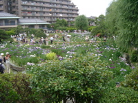 IMGP6065