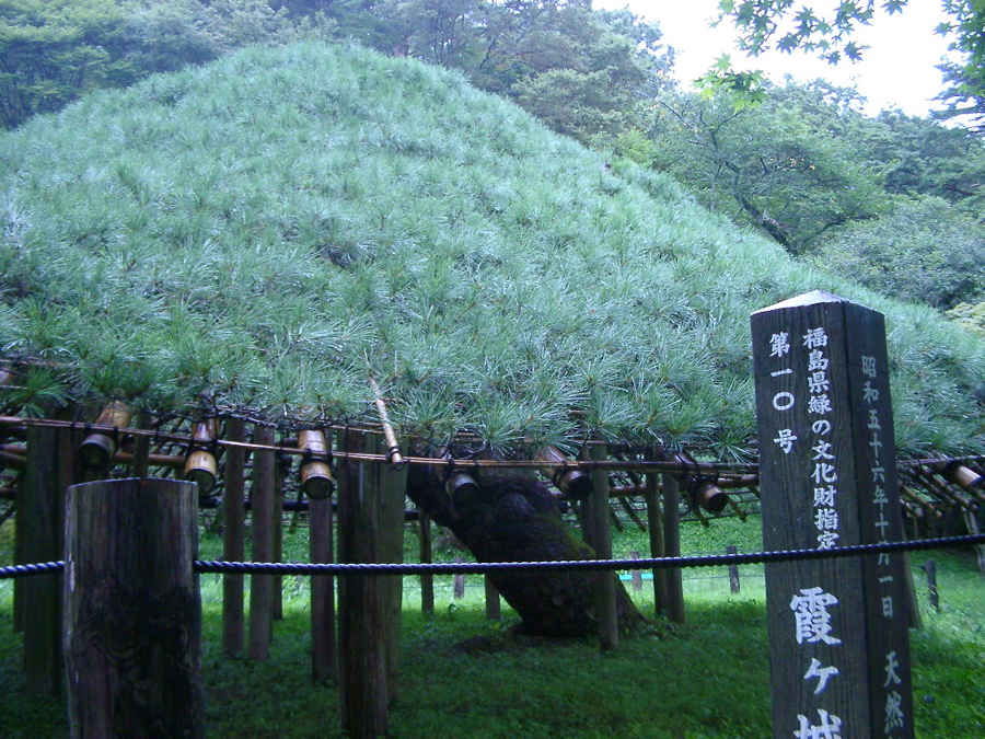 IMGP6214