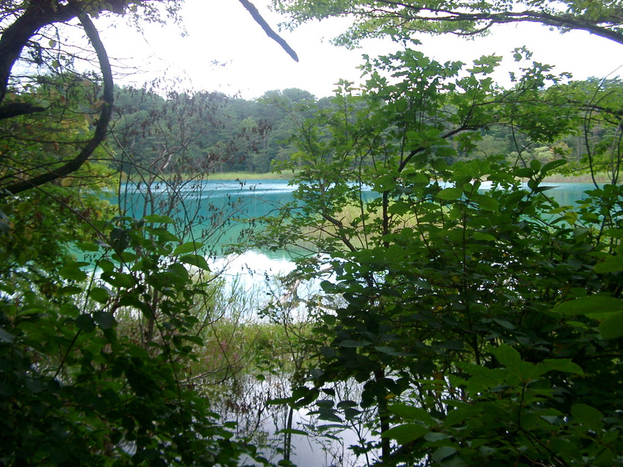 IMGP6242
