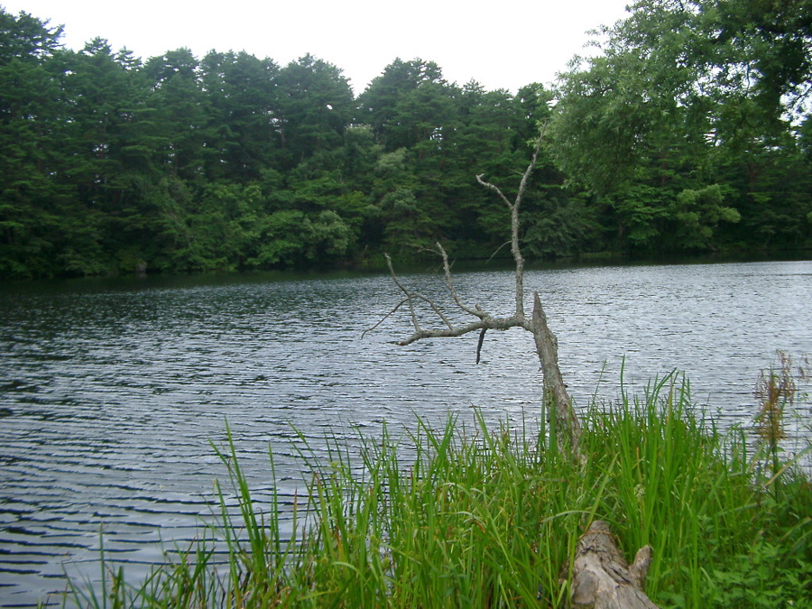 IMGP6248