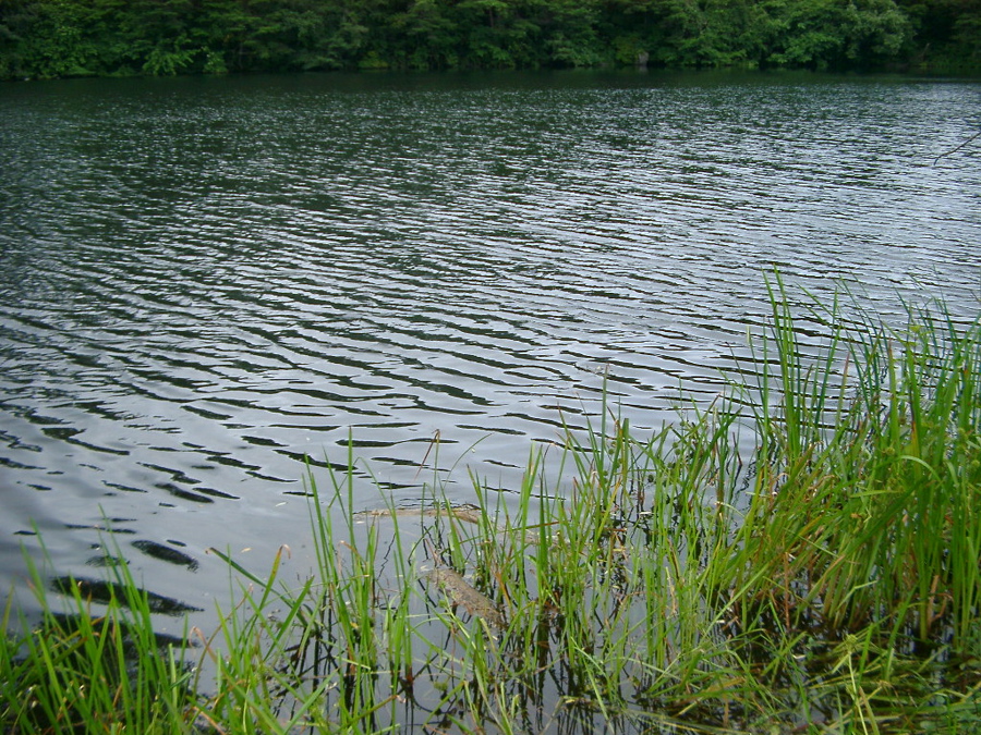 IMGP6249