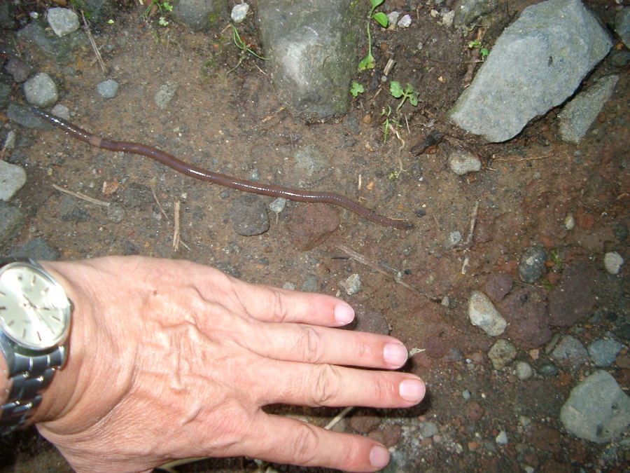 IMGP6268