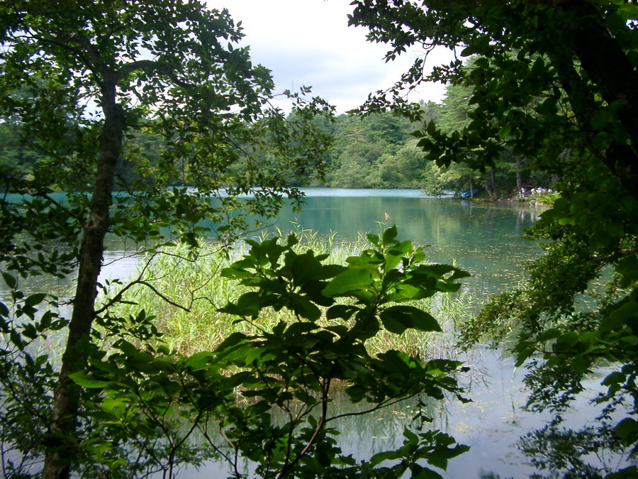 IMGP6232