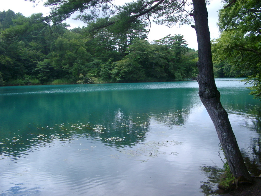 IMGP6233