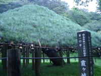 IMGP6214