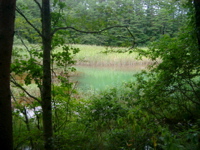 IMGP6236