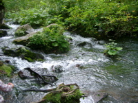 IMGP6237