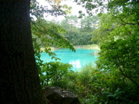 IMGP6241