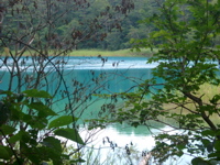 IMGP6243