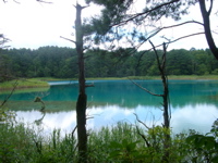 IMGP6244