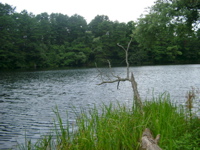 IMGP6248