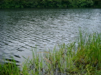 IMGP6249