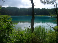 IMGP6257