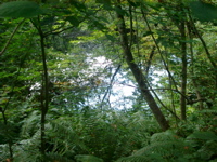 IMGP6258