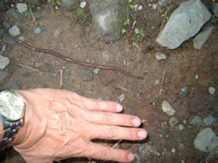 IMGP6268