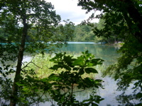 IMGP6232