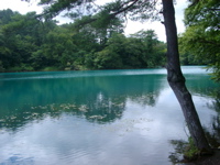 IMGP6233