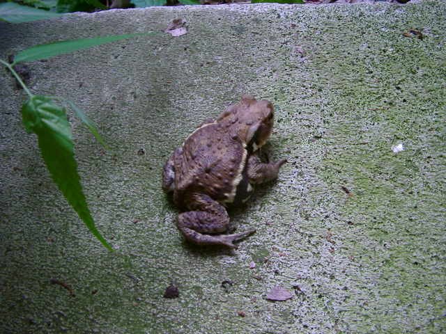 IMGP6814.JPG