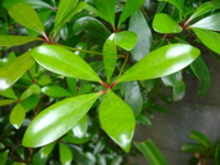 IMGP6813.JPG