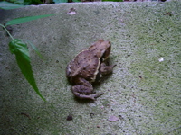 IMGP6814.JPG