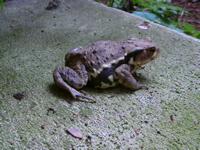 IMGP6815.JPG