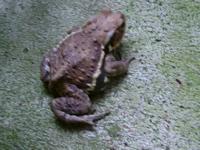 IMGP6816.JPG
