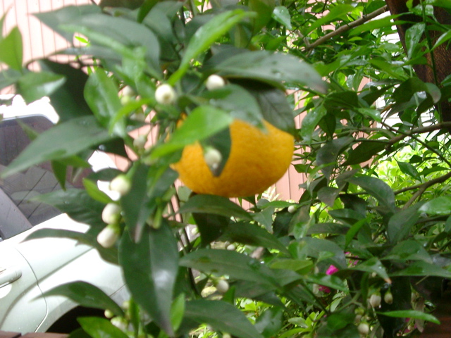 IMGP6757.JPG