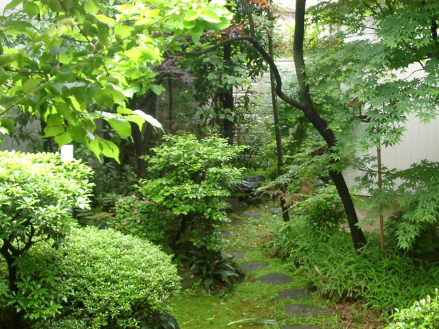 IMGP6758.JPG
