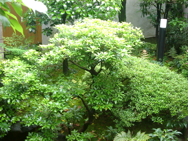 IMGP6763.JPG