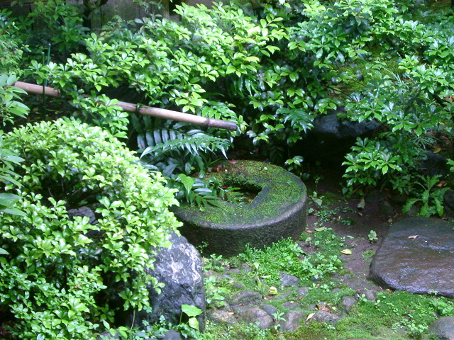 IMGP6764.JPG