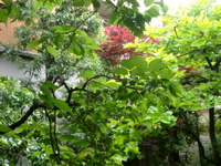IMGP6759.JPG