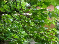 IMGP6760.JPG