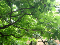 IMGP6761.JPG