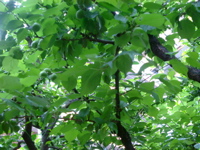 IMGP6762.JPG