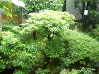 IMGP6763.JPG
