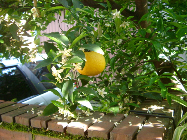 IMGP6765.JPG