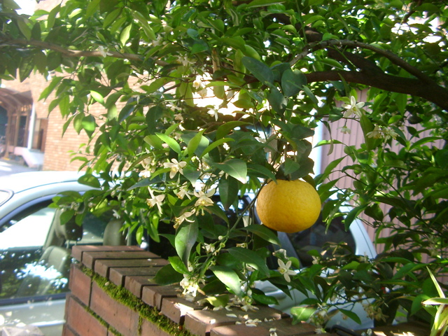IMGP6766.JPG