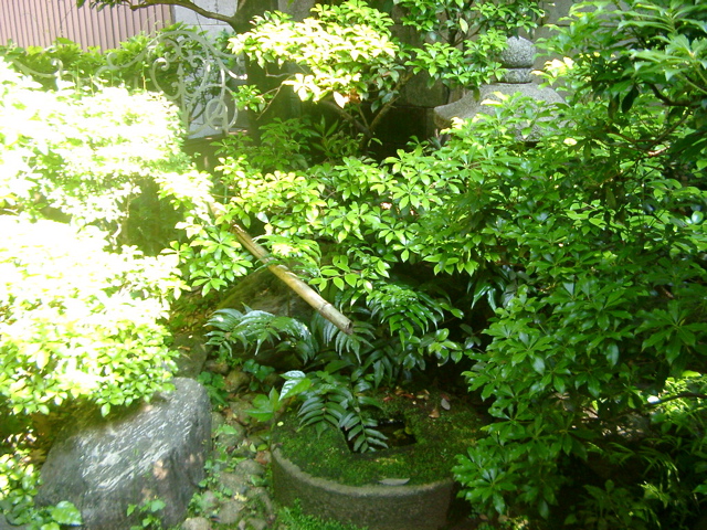IMGP6775.JPG