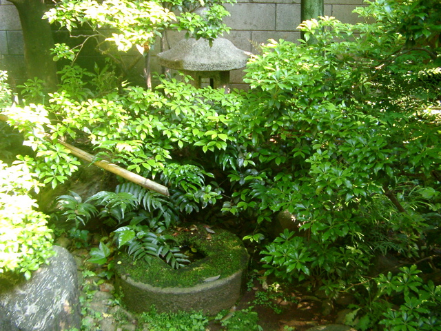 IMGP6776.JPG