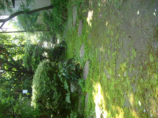 IMGP6777.JPG