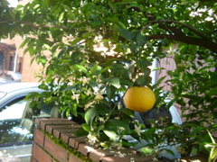 IMGP6766.JPG