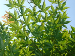 IMGP6770.JPG
