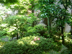IMGP6773.JPG