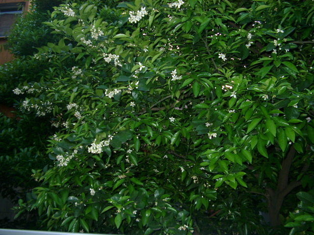 IMGP6779.JPG