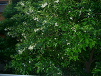 IMGP6779.JPG