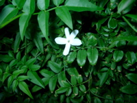 IMGP6789.JPG