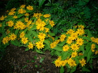 IMGP6780.JPG