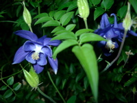 IMGP6783.JPG