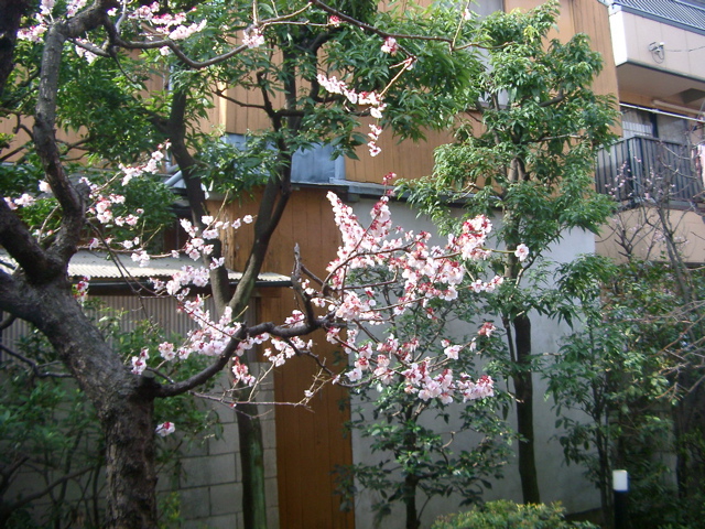 IMGP6620.JPG